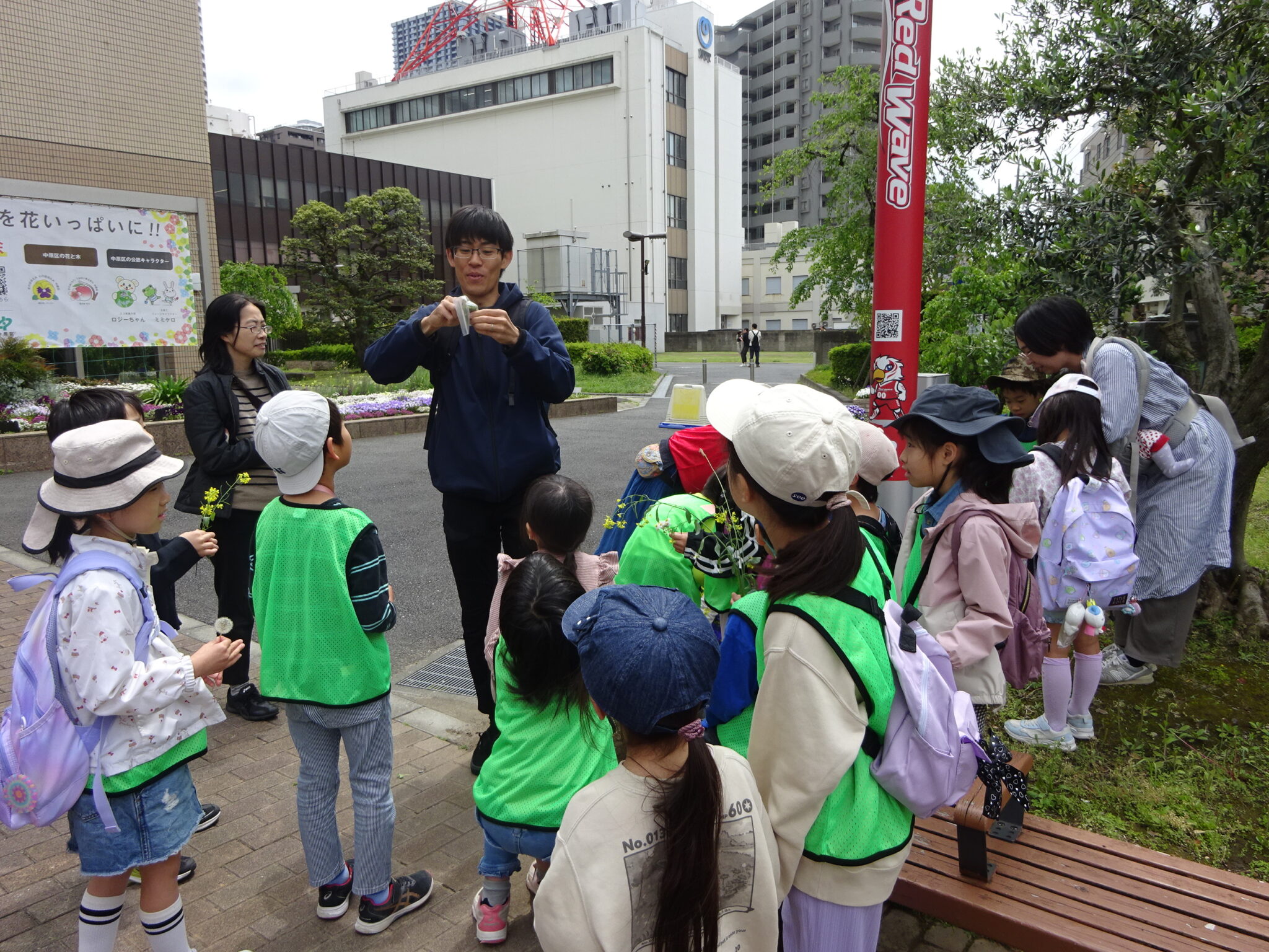 広場で生き物を観察するようす