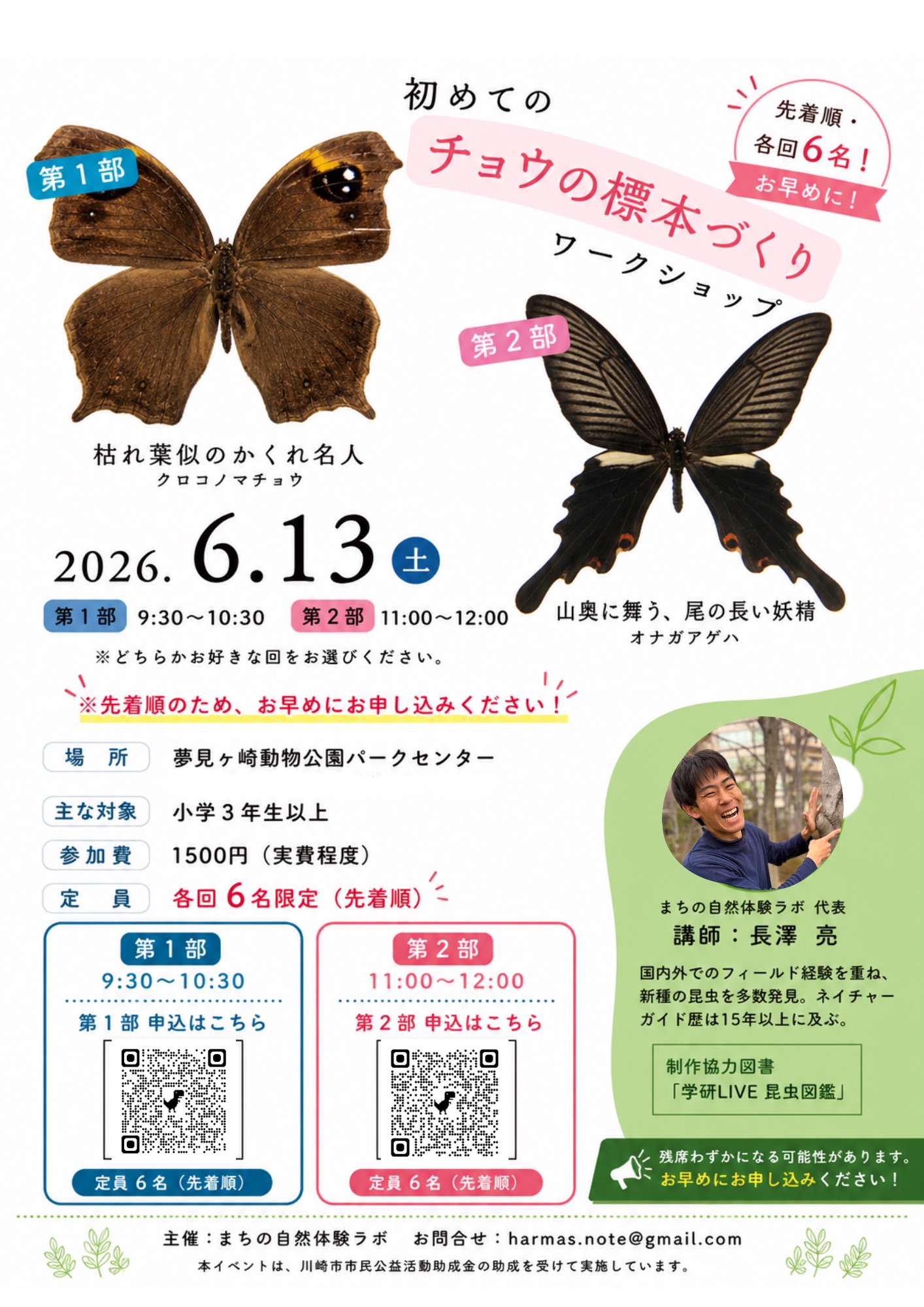 初めてのチョウの標本づくりワークショップ チラシ