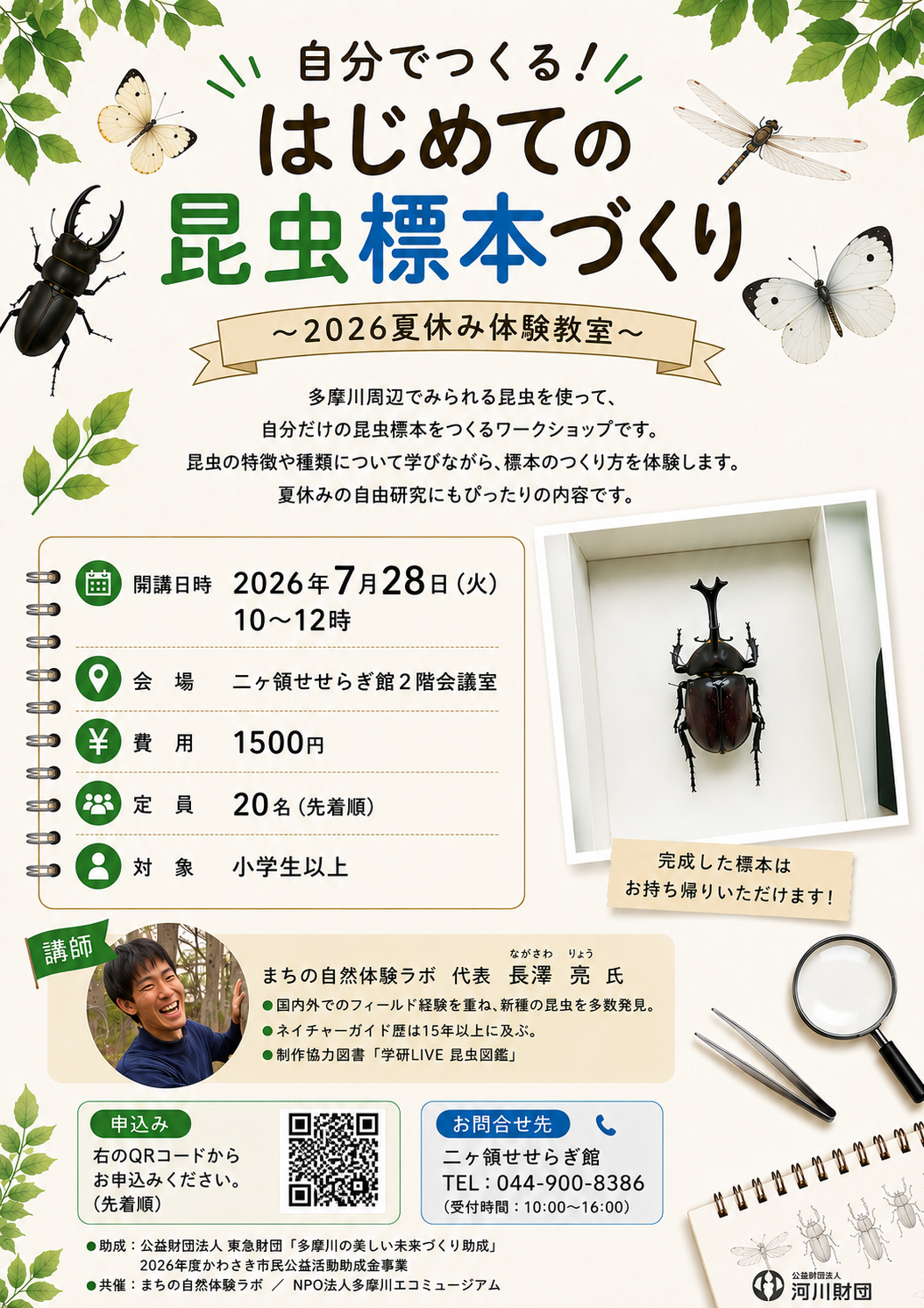 はじめての昆虫標本づくりチラシ