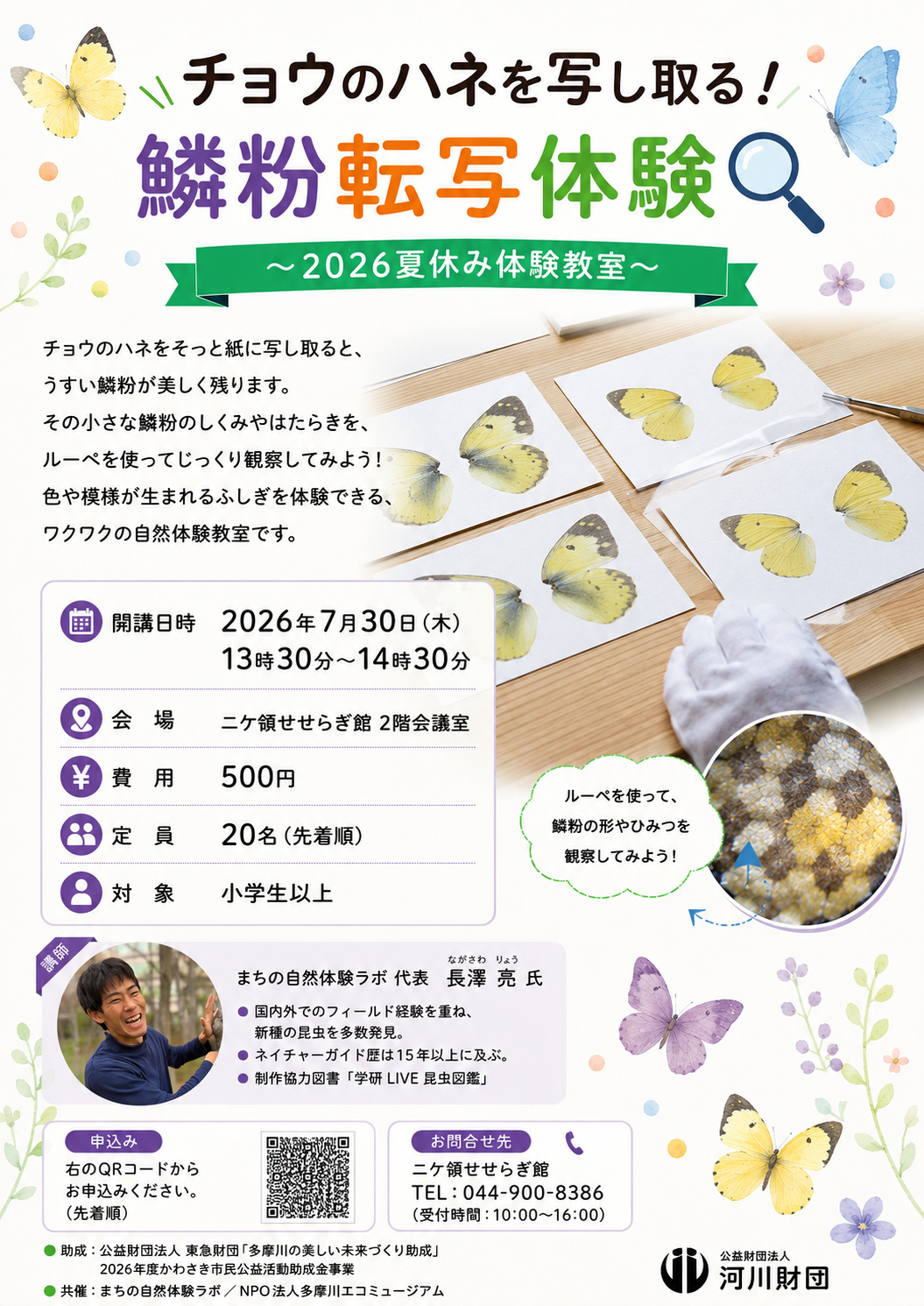 鱗粉転写体験チラシ