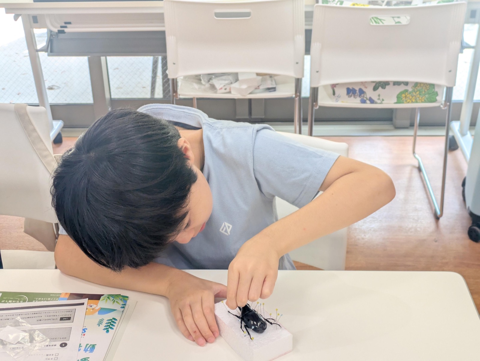 はじめての昆虫標本づくりのようす