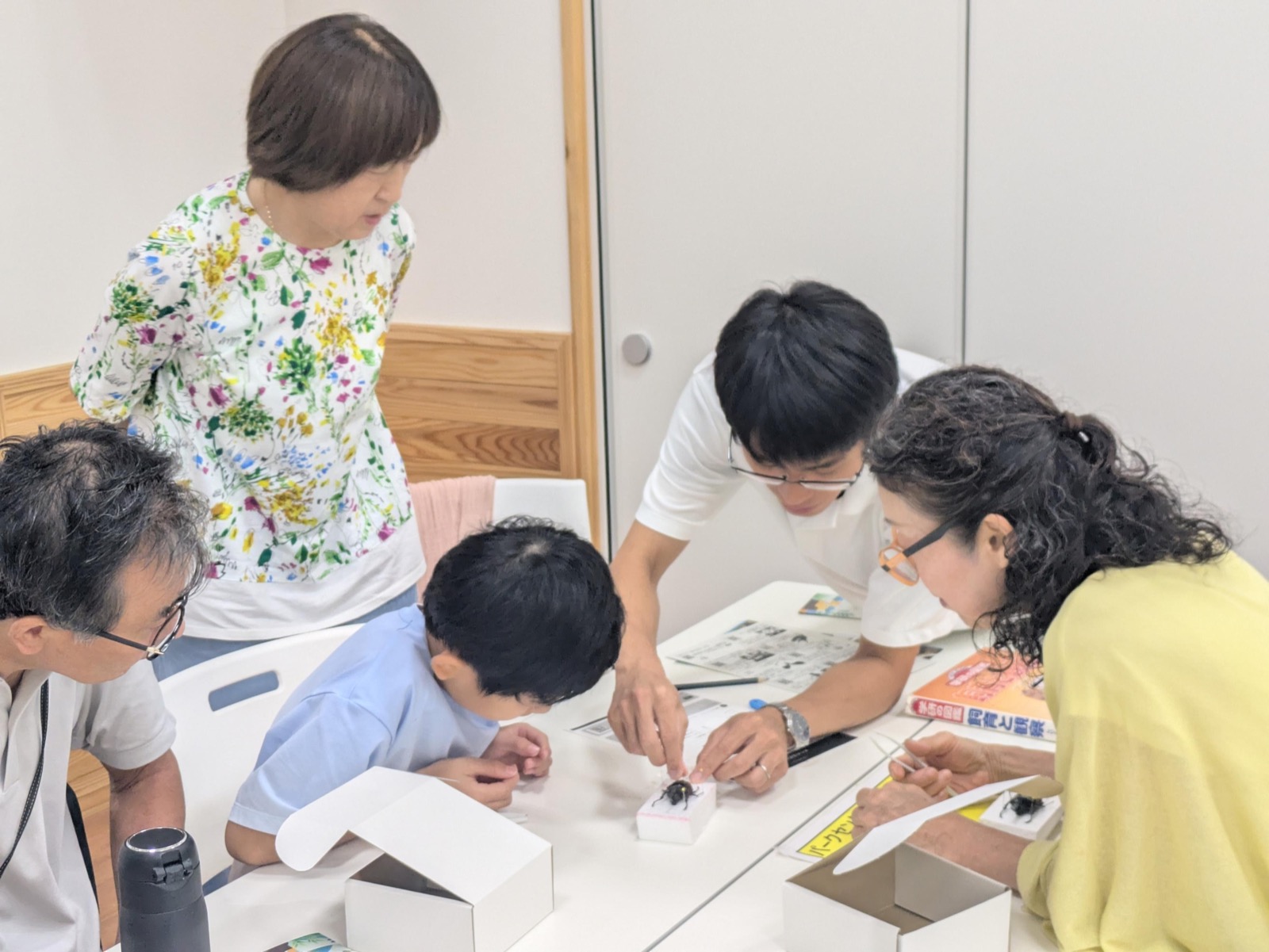 講師と一緒に昆虫標本をつくるようす