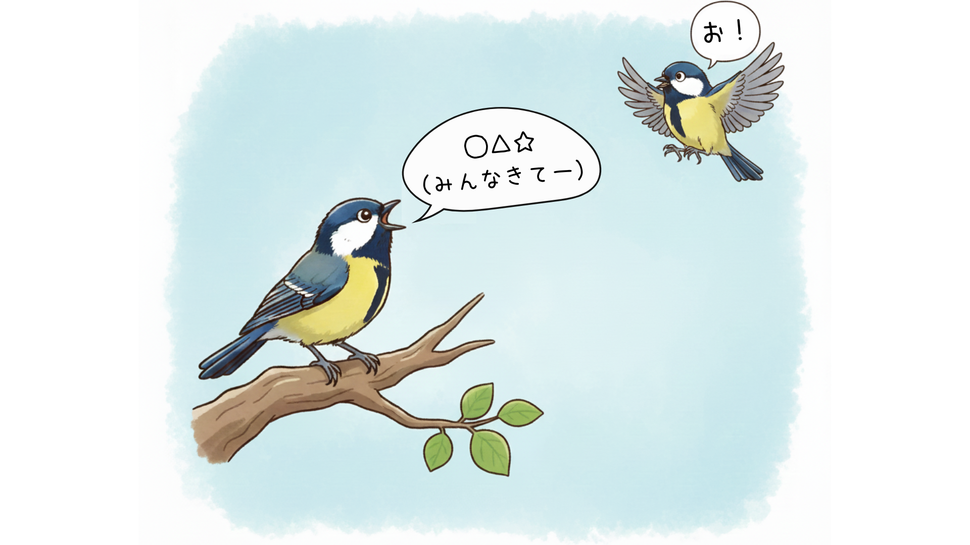 シジュウカラのネクタイ模様
