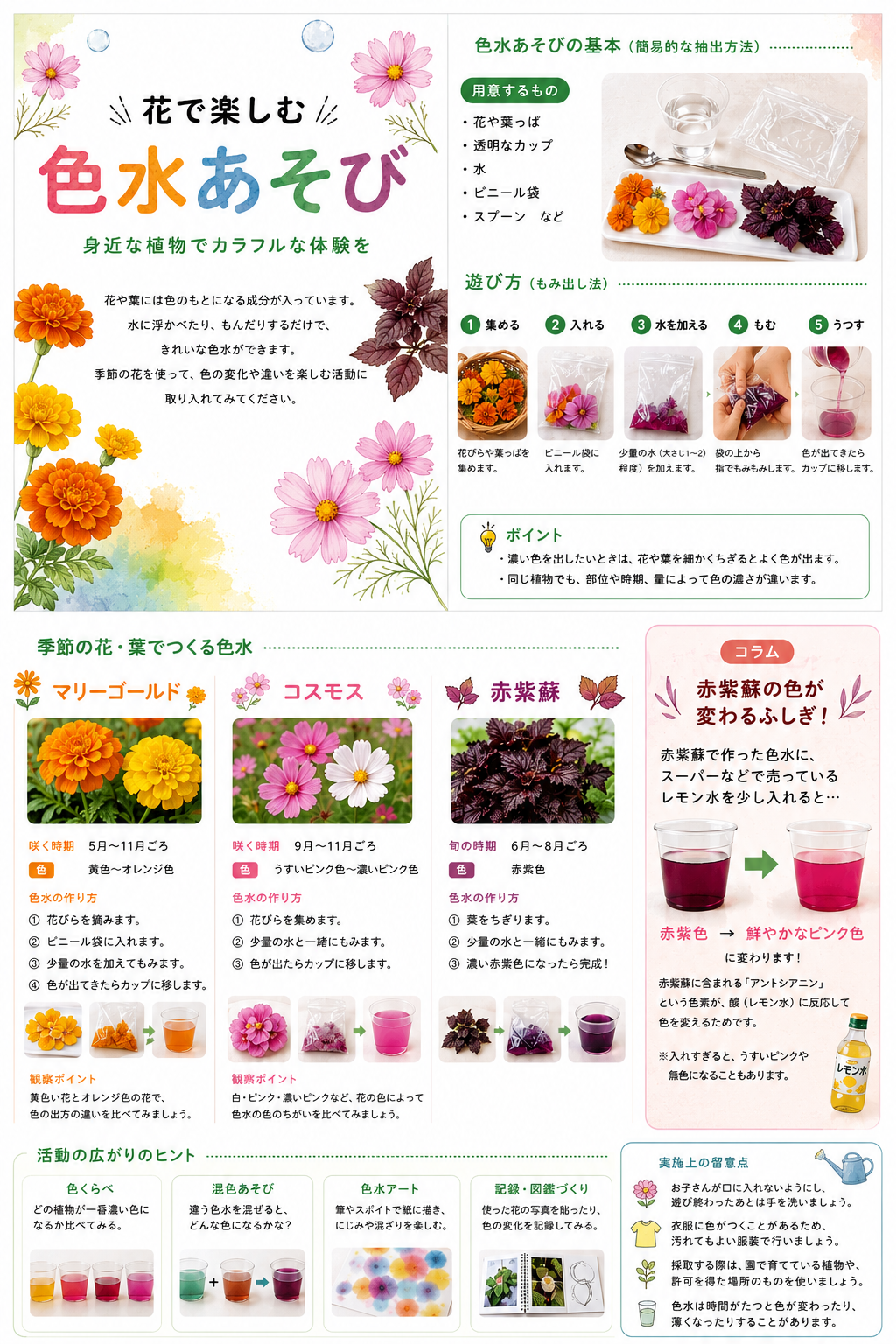 花で楽しむ色水あそび