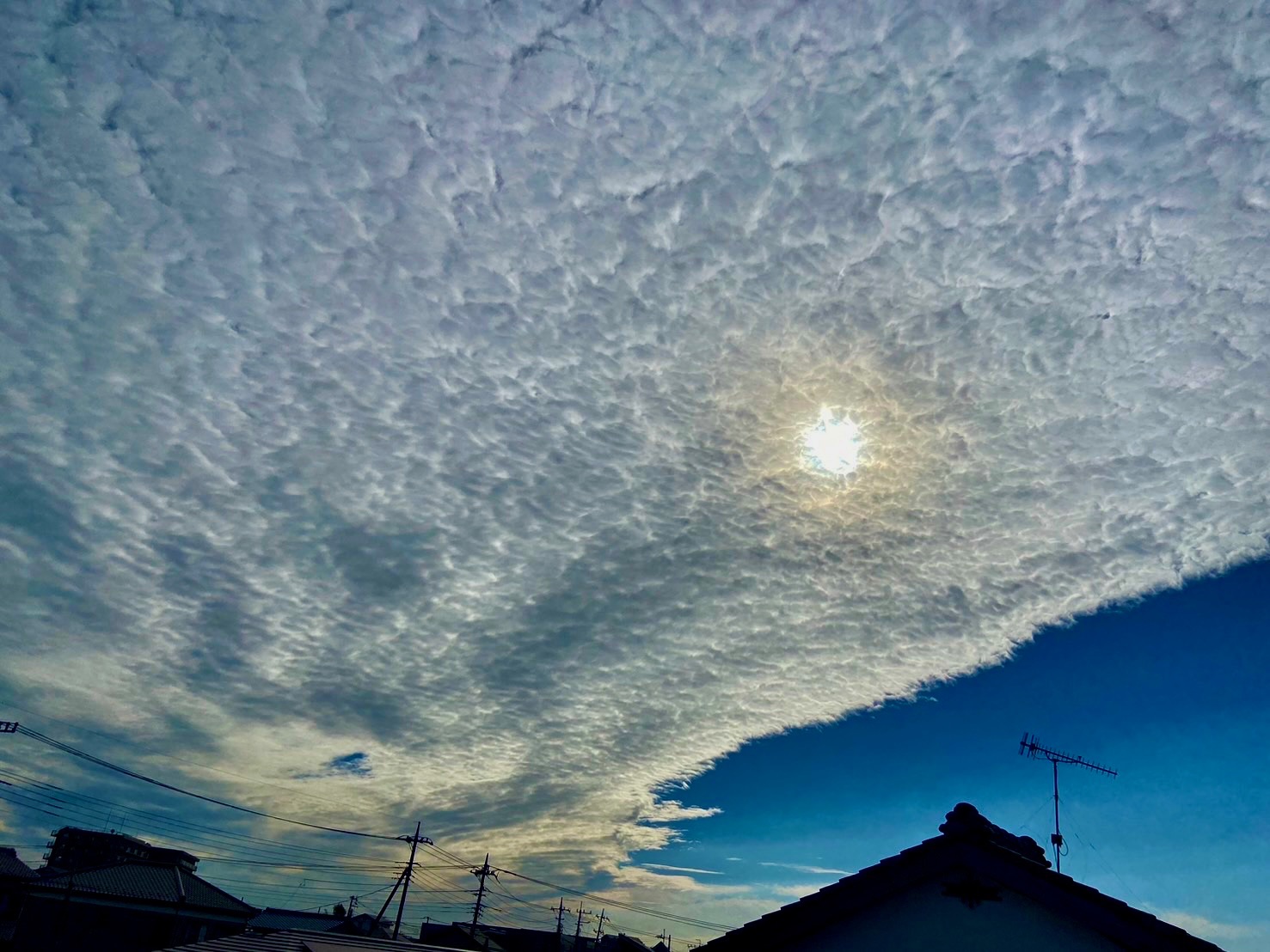 高積雲の夕焼け