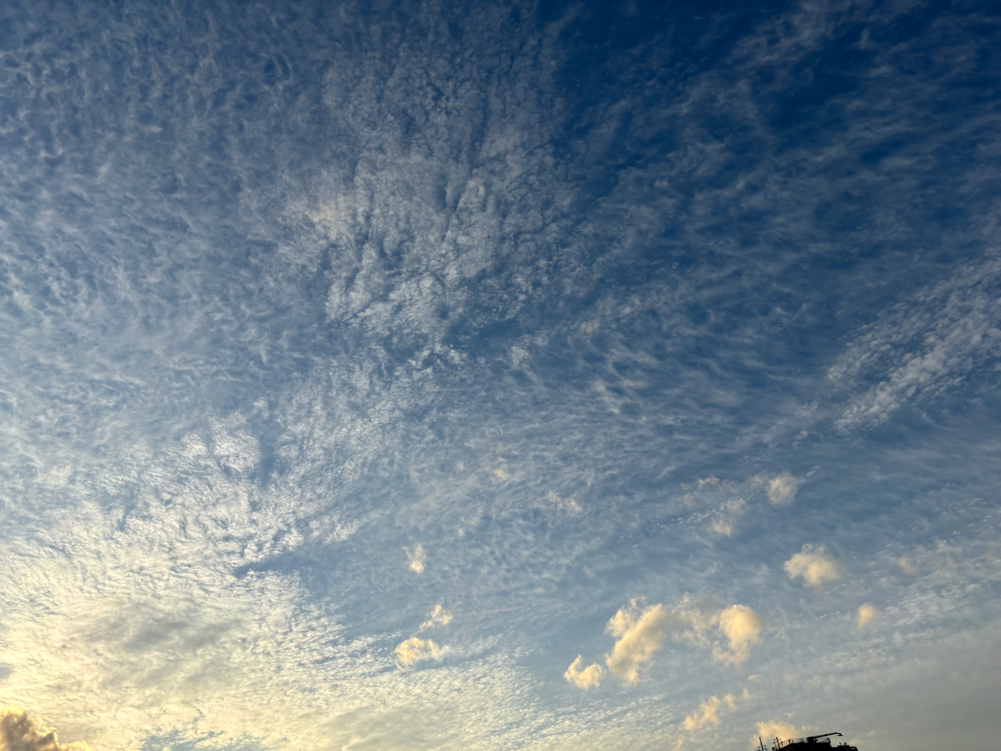 巻積雲（うろこ雲）の写真