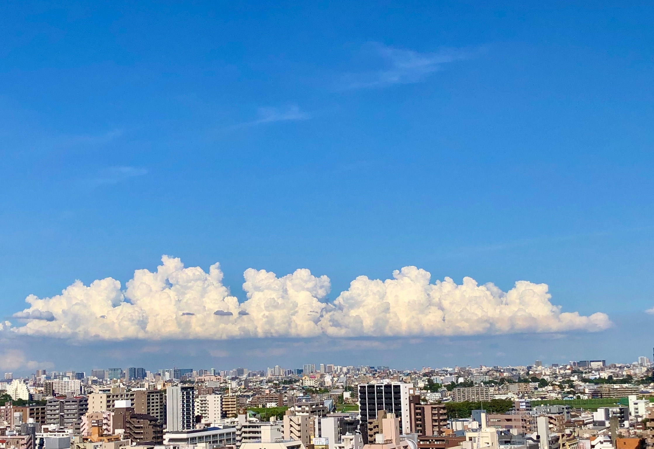 雄大積雲（垂直に発達した積雲）