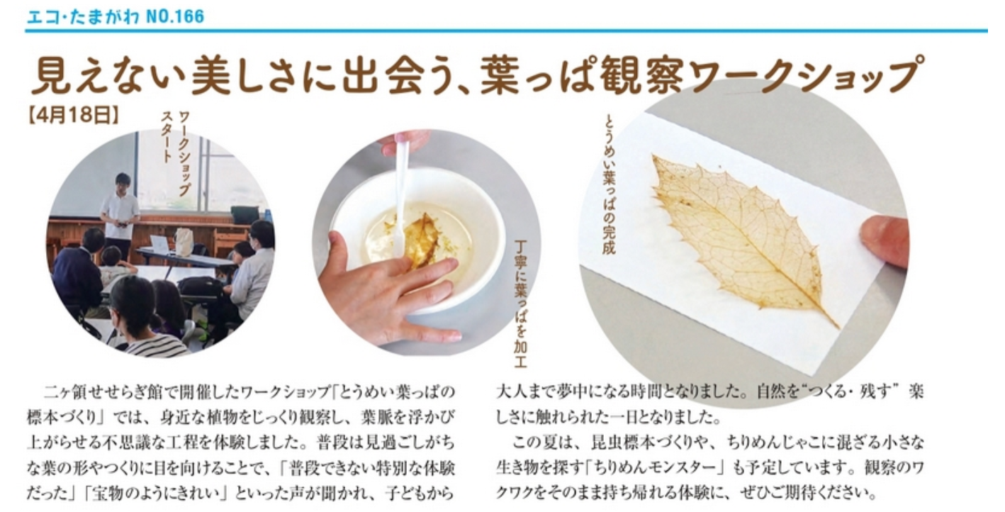 エコ・たまがわ NO.166 掲載紙面