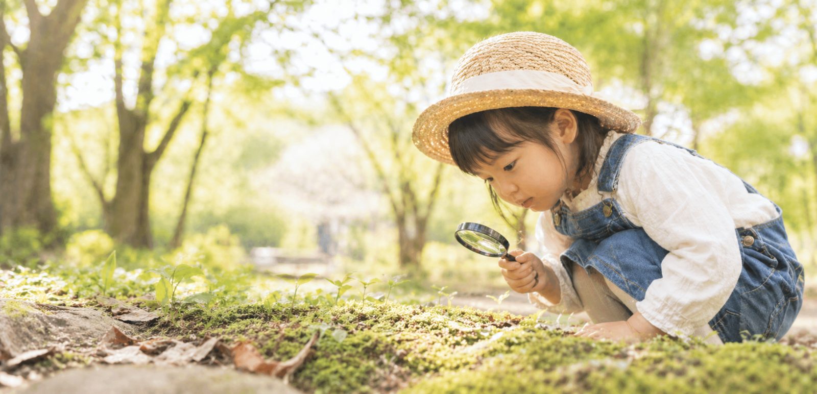 虫めがねで草を観察する子ども