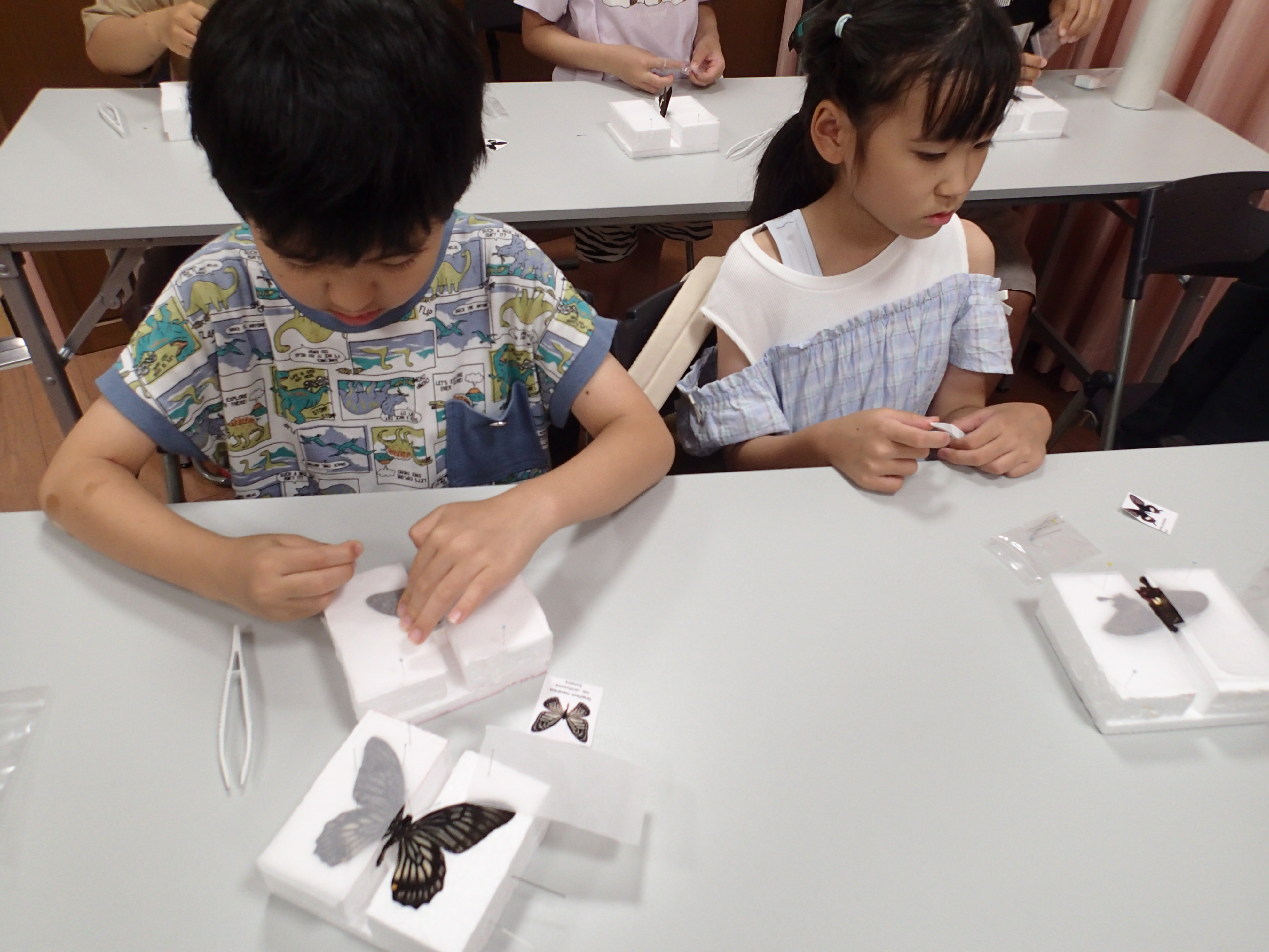 アゲハチョウの標本をつくる子どもたち