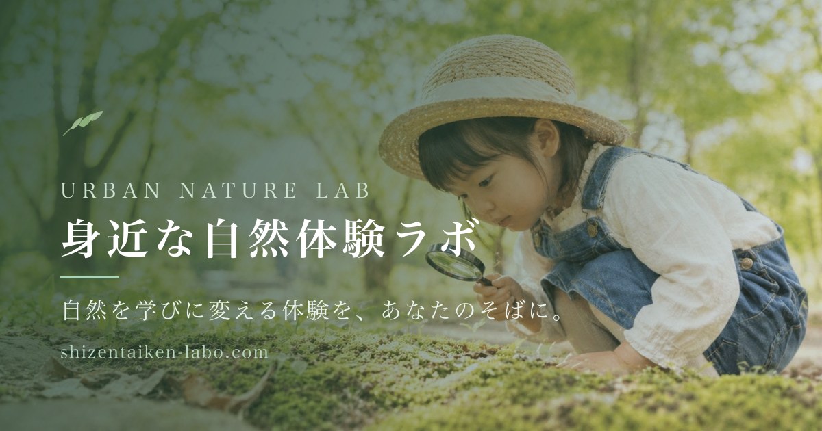 関連する活動