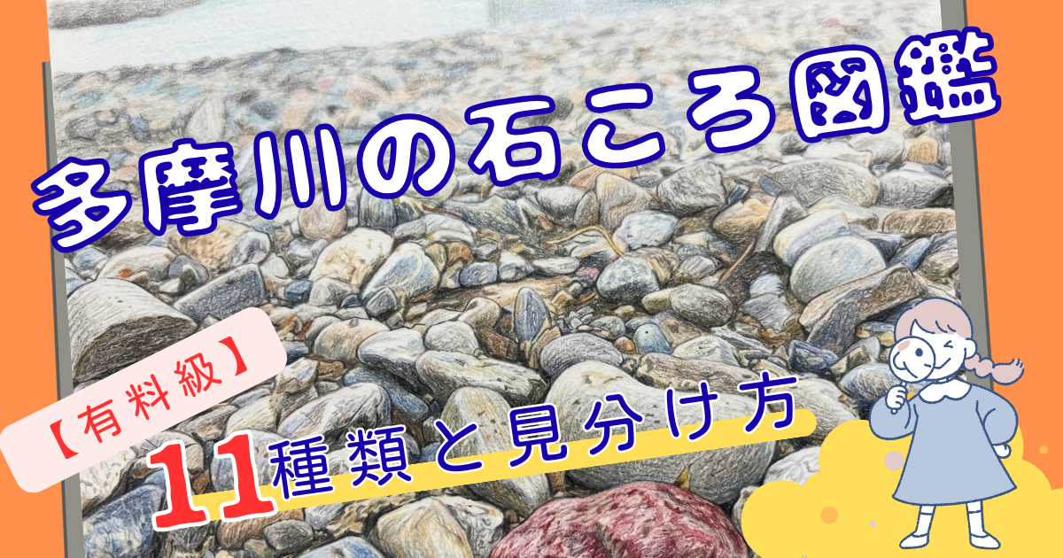多摩川で見つかる石ころ図鑑