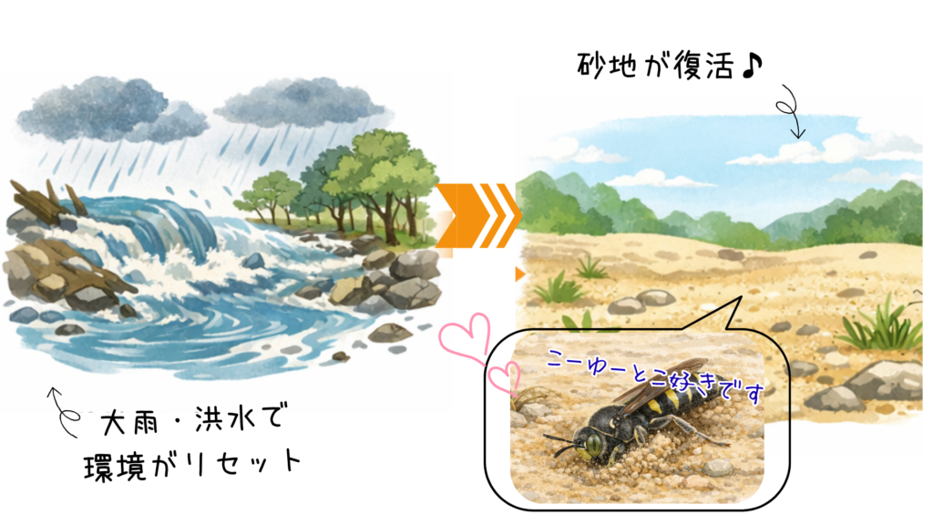 河川敷の砂地