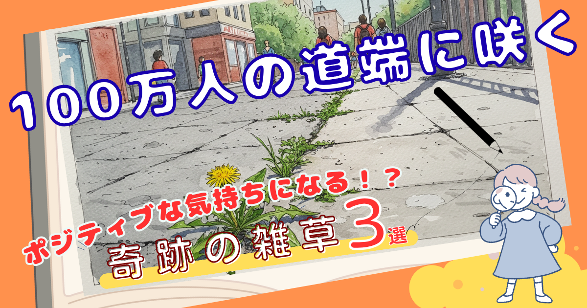道端に咲く雑草3選